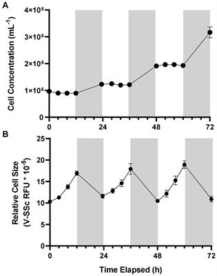 The diel disconnect between cell growth and division in Aureococcus is interrupted by giant virus infection